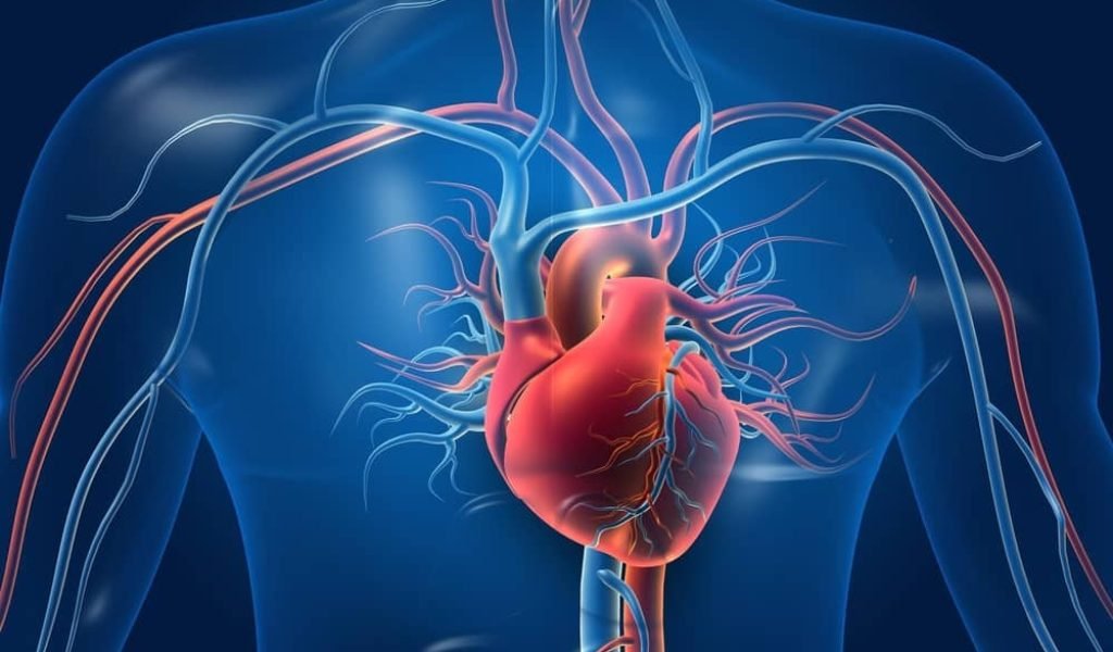 Acute Coronary Syndrome